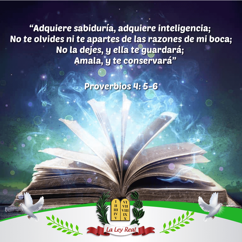 Pasajes Biblicos