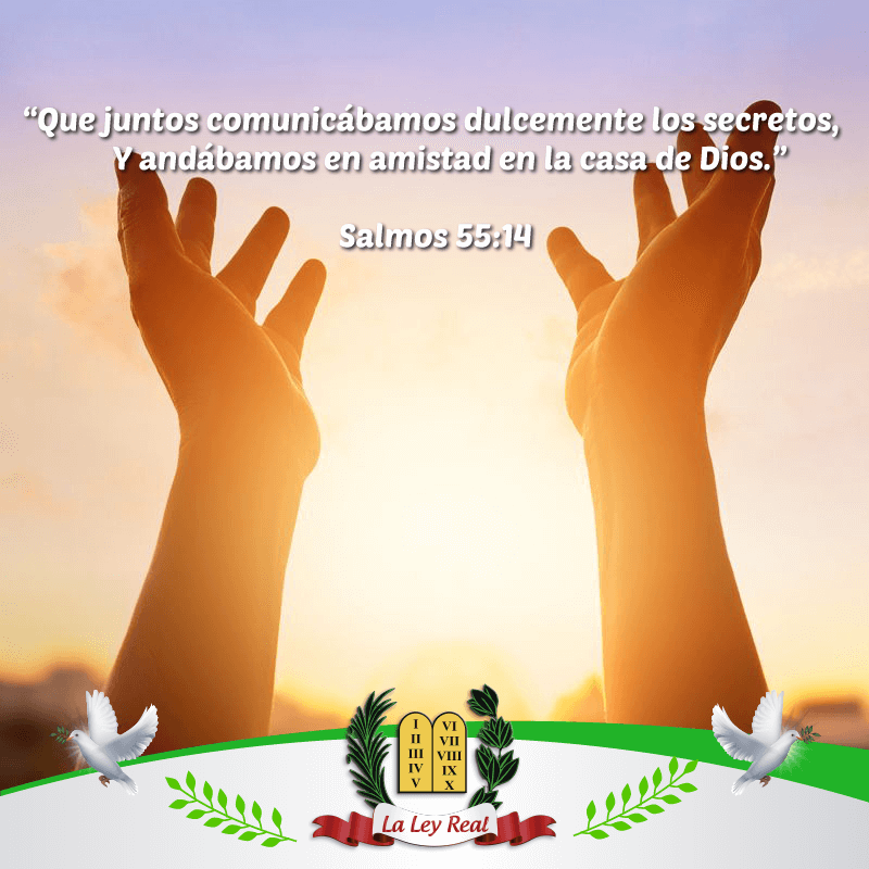 Pasajes Biblicos