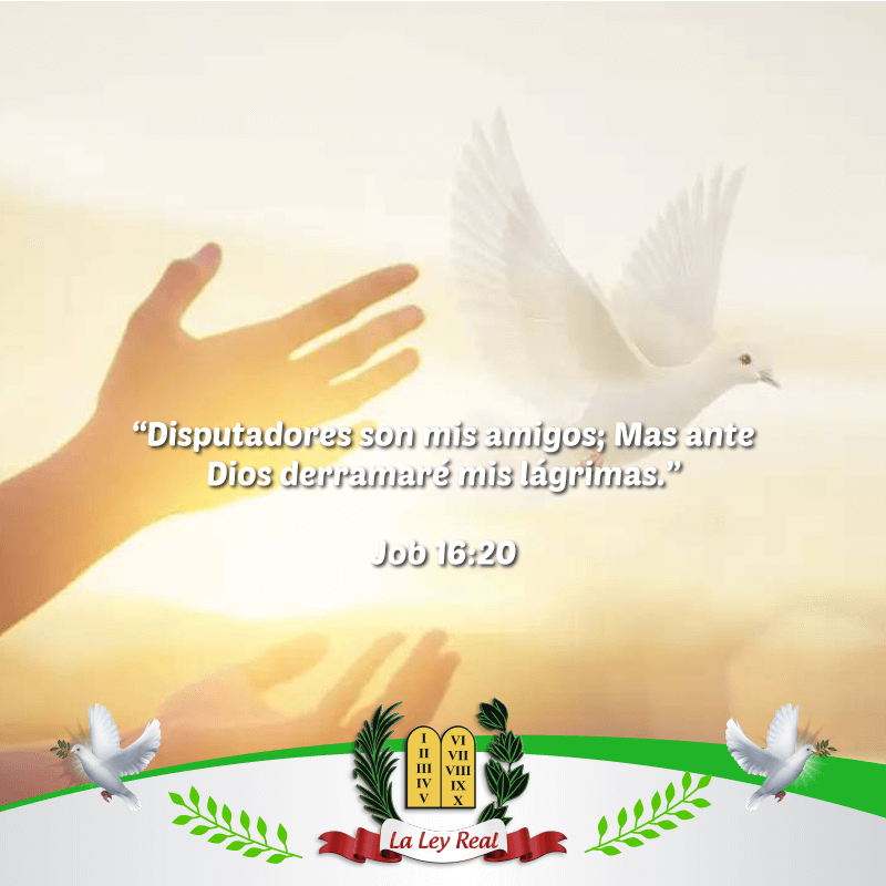 Pasajes Biblicos